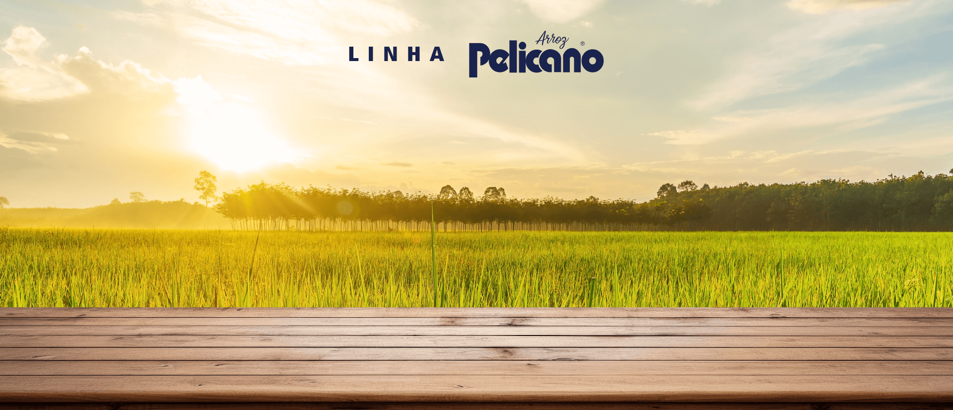 Arroz Pelicano Polido T2